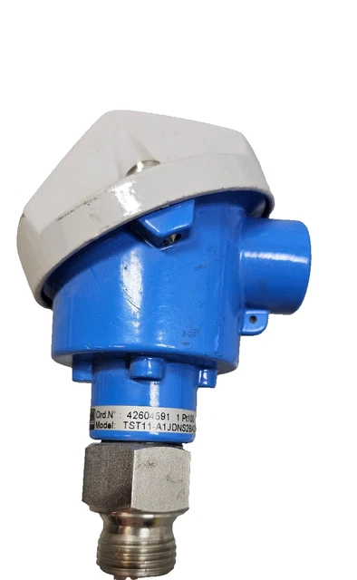 ENDRESS HAUSER TST11-A1JDNS2BA2C Temperature Sensor, PT100, Class B, 3W ...