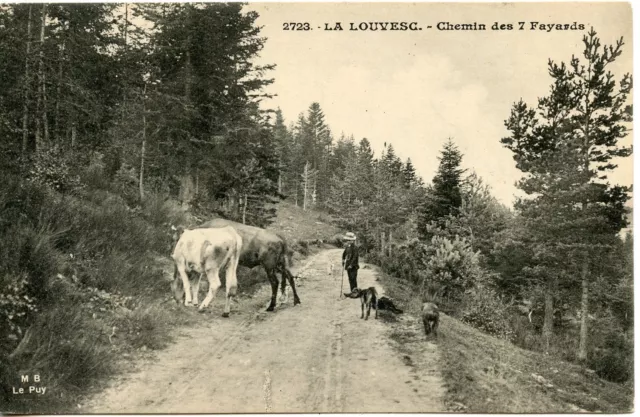 Carte Postale / Ardeche / La Louvesc Chemin Des 7 Fayards
