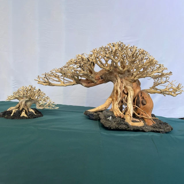 Aquarium Bonsai Driftwood Tree Aquascape Fish Tank Plants Landscaping Decoration