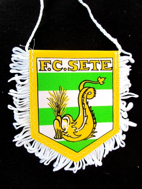 Fanion / Pennant Zvezdara Beograd - Serbie - Petit Modèle - Décoration