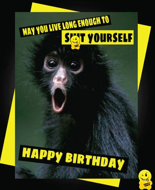 Funny Birthday Card Animals Banter Cheeky Humour Monkey Poo Yourself C332 Eur 3 95 Picclick Fr