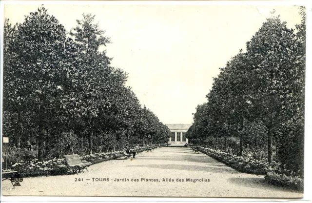 CP 37 INDRE-ET-LOIRE - Tours - Jardin des Plantes - Allée des Magnolias
