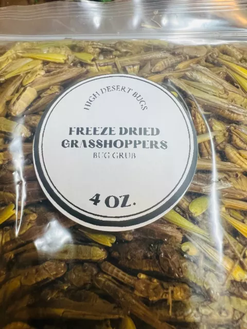 Freeze Dried Grasshoppers Healthy Snack for Chickens Turtle Reptile Hamster