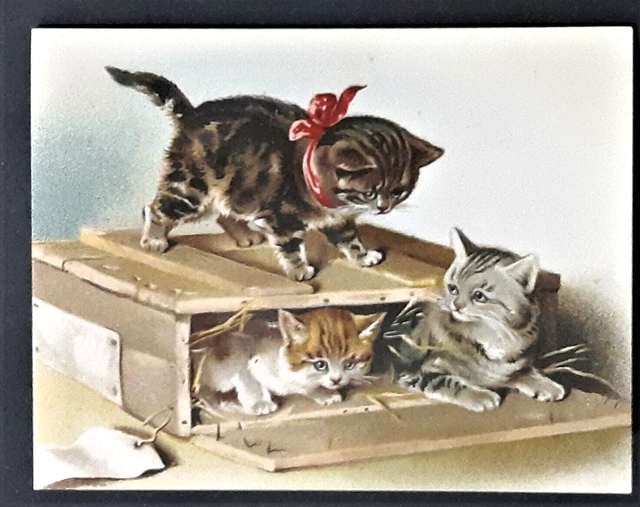 NEW Vntg Style Thank You Note w THREE KITTENS WITH A BOX Mfr USA