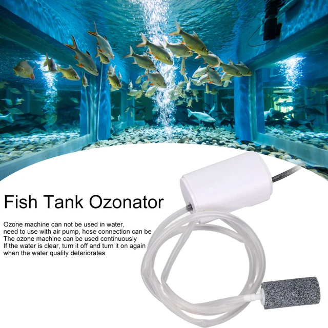 Poisson Réservoir Générateur D'ozone Purification De L'eau Algues Élimination 9