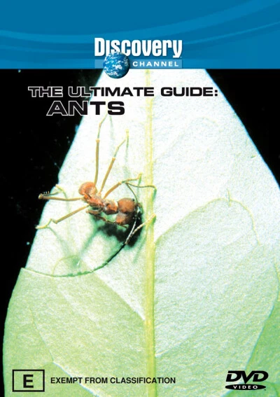 The Ultimate Guide: Ants (1999) [New Dvd]