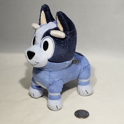 socks bluey plush