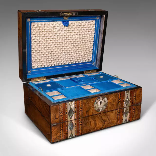Antique Ladies Utility Box, English, Burr Walnut, Writing Slope, Sewing, Regency 3