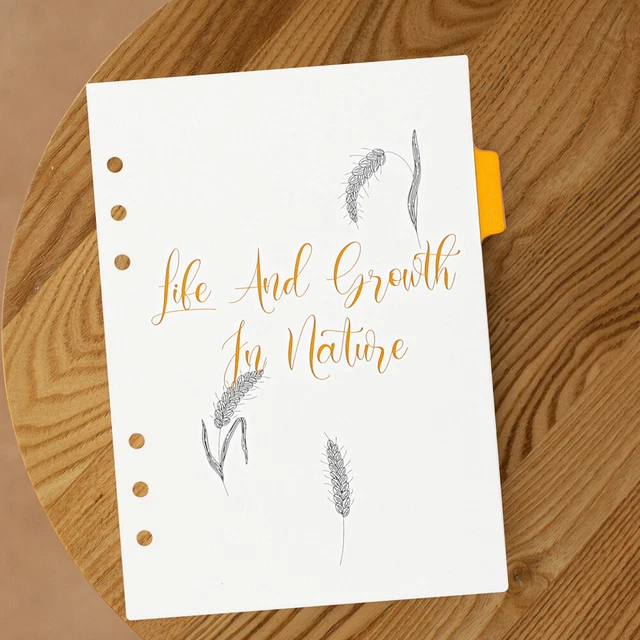 6 piezas Cuaderno Páginas de índice desmontables Divisores A5 Páginas de carpeta Notebook