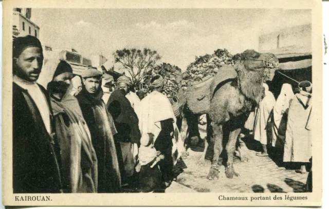 Tunisia Kairouan - Farmers Market and Camel old sepia postcard