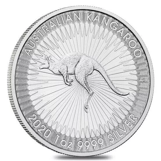 1 Oz 9999 Fine Silver Perth Mint 2020 Australian Kangaroo Bullion Coin New Pouch