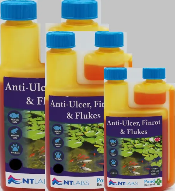 NT Labs Anti-Ulcer, Finrot & Flukes Ill Fish Sick Koi Treatment Parasite