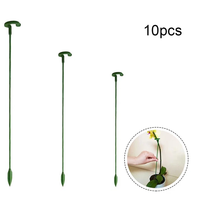 60cm Pali Sostegno Per Piante - Bastoni Per Arrampicata - Canne Da Giardinaggio Riutilizzabili - Verde, 10 Pezzi