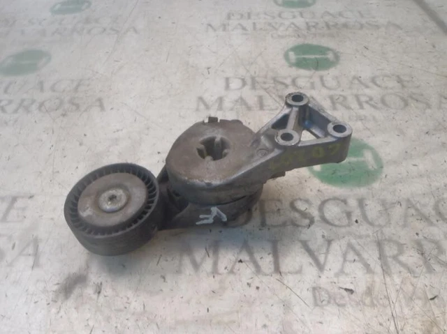 Tendeur De Courroie Auxiliaire / 14369818 Pour Volkswagen Golf Iv Berlina 1J1
