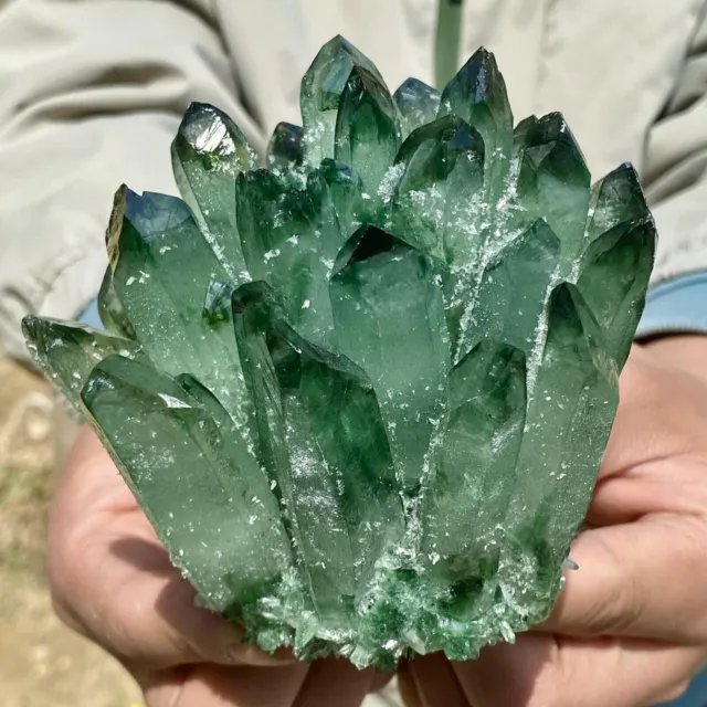 2.17LB New Find Green Phantom Quartz Crystal Cluster Mineral Specimen Healing