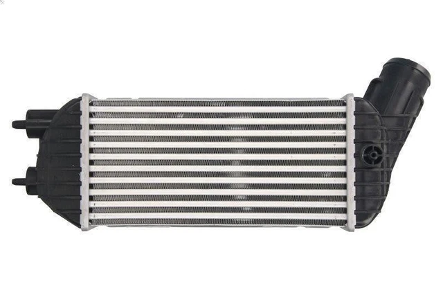 THERMOTEC Intercooler Échangeur Air-Air DA1003TT Pour Nissan Juke F15 & Renault Clio III/Modus - 210 X 205 X 64 Mm
