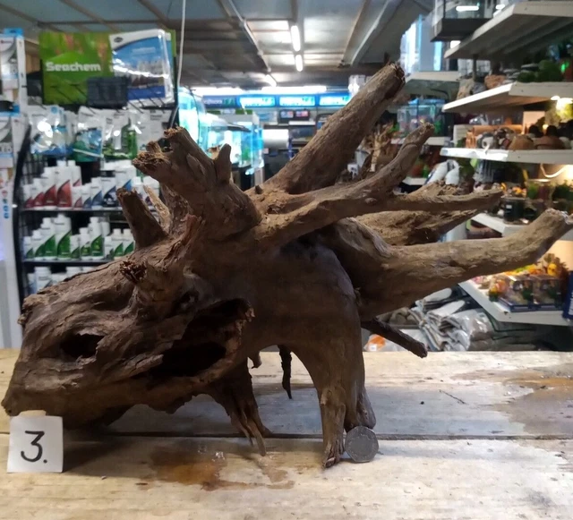 LARGE CORBO ROOT Aquarium Bogwood Vivarium Root Driftwood Catfish Cave