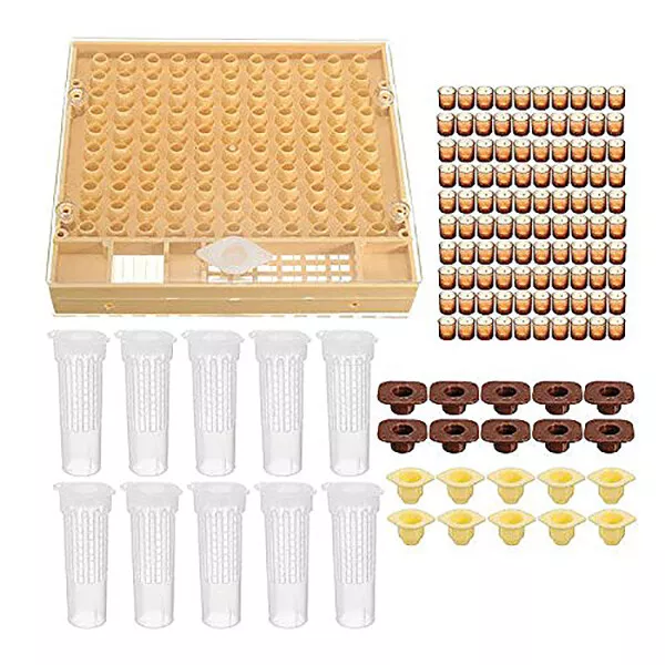 Kit De Copa De Apicultura Juego De Herramienta De Abeja 100 Tazas De CÉLula5890