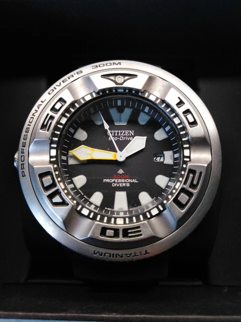 Citizen ecozilla hotsell titanium for sale