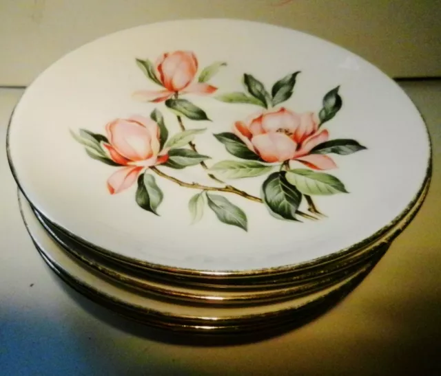 1952 Set of 6 Saucers Pink Magnolias Homer Laughlin  Rhythm-Gold Rims-G 52N5-USA