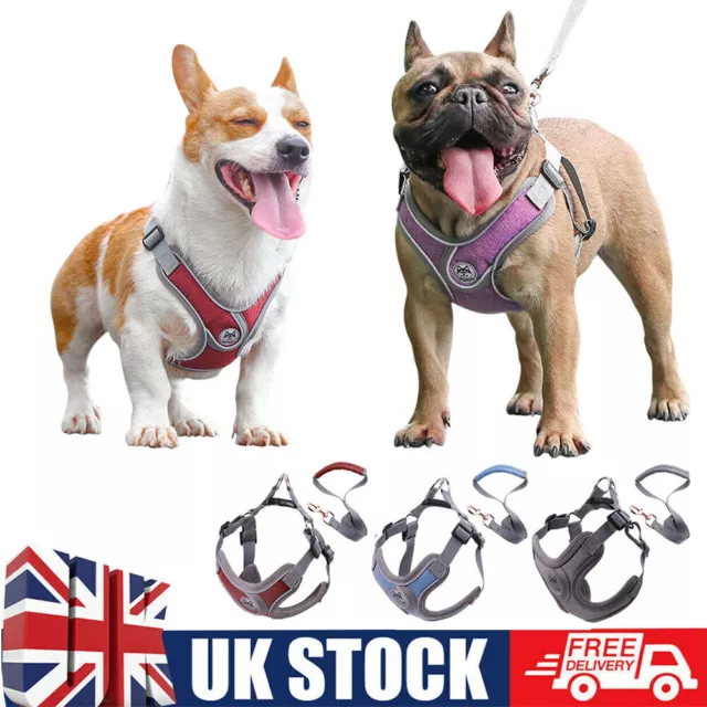 Small Dog Cat Puppy Harness+Lead Leash Pet Mesh Vest Set Reflective Adjustable