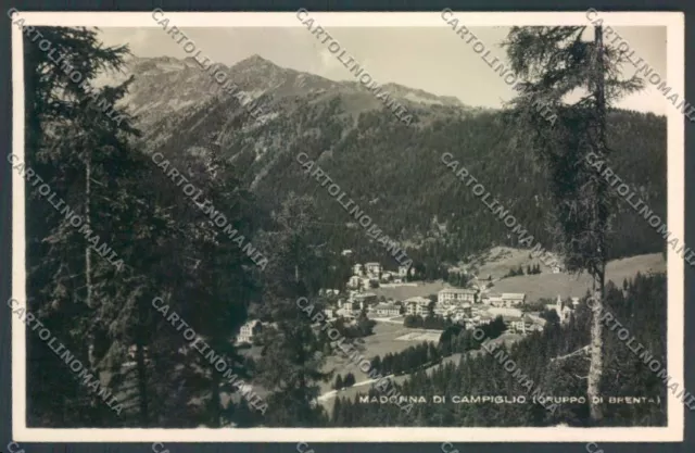 Trento tweezers Madonna di Campiglio photo postcard ZB0721