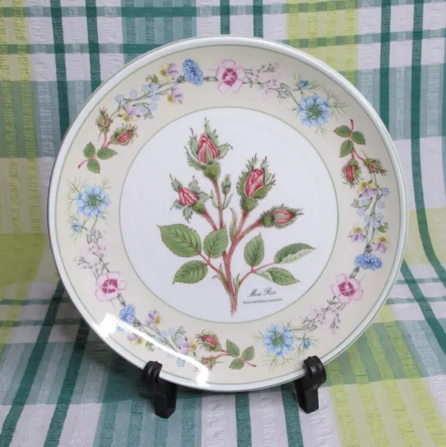 Aynsley Flowers From The Garden Of Old England Bone China Cabinet Plate