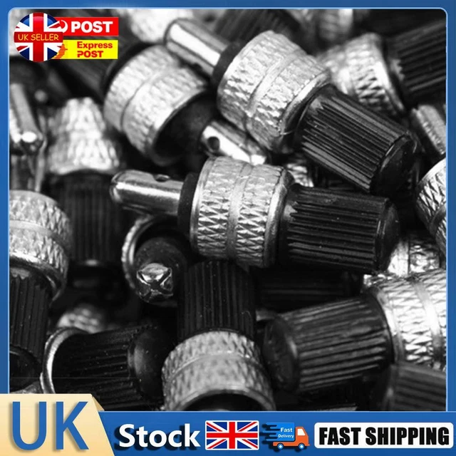 Nickel Plated Brass Durable Bike Wheel Tire Valve Core Replacement with Caps Hot