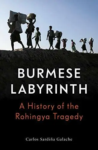 The Burmese Labyrinth Par Carlos Sardina Galache, Neuf Livre , Gratuit