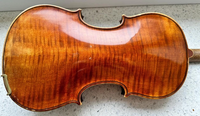 Alte Geige Violine 4/4 Sesto Rocchi 1959 fine violin labeled 2