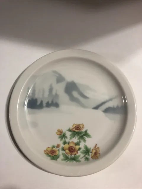 SYRACUSE Great Northern Railroad Mountains & Flowers Pattern Round Plate