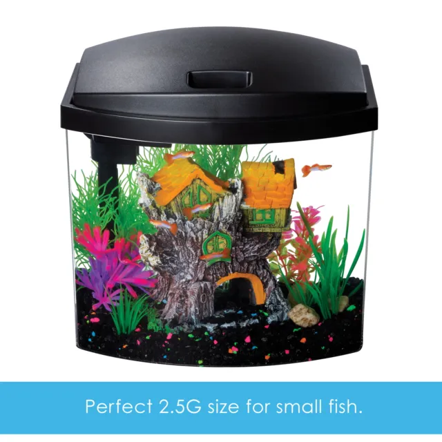 Aquatic Starter Kit Fish Tank Aquarium, Clear Acrylic, 2.5 Gallons 3