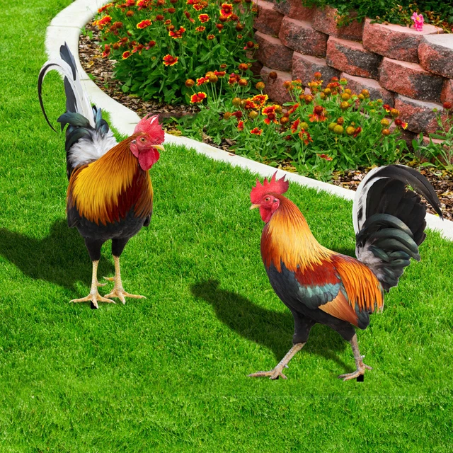 Yard Art Decor Sculptures Chicken Decorations Rooster Statues Garden Ornaments