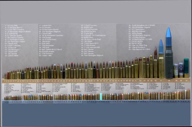 Bullet Caliber Comparison Chart Poster 24inx36in Poster