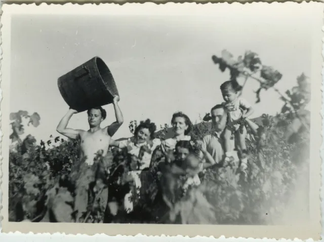 Photo Ancienne - Vintage Snapshot - Vendanges Travail Groupe - Grape Harvest