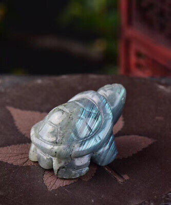 1.5" Natural labradorite tortoise skull hand Carved crystal healing 1pc