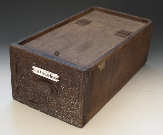 Urige alte Holzschublade mit Emailschild aus Apotheke um 1900
