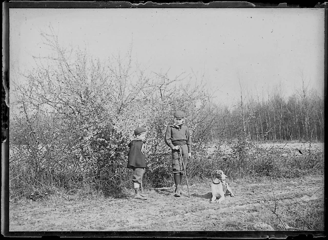 6x9cm Kids Country Chien Nature Negative Photo Glass Plate Black & White