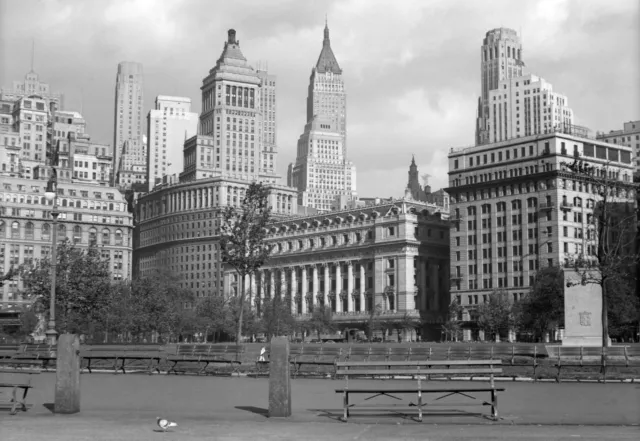 Ville New York Pigeon Central Park Immeubles - Poster Affiche Photo ancienne