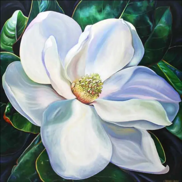 Magnolia Accent & Decor Tile Nancy Jacey Floral Art CPA-NJ17075AT