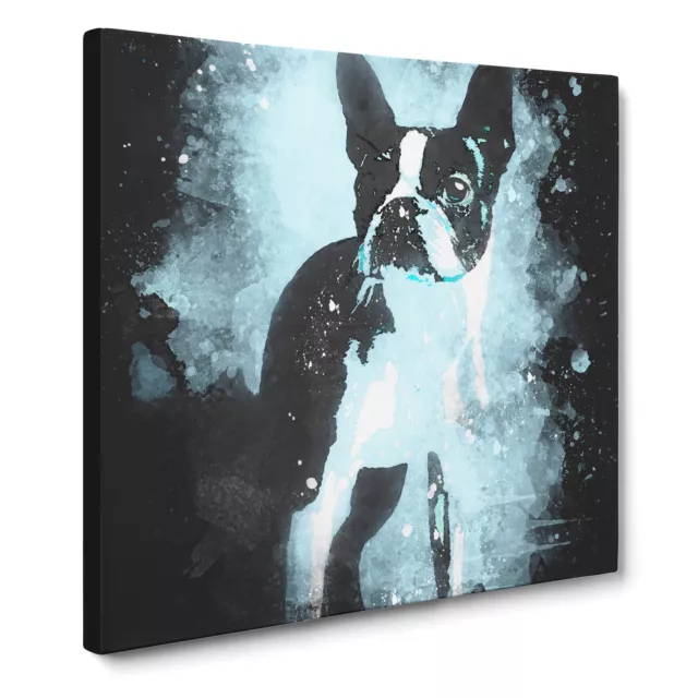 Boston Terrier Dog Paint Splash Canvas Print Wall Art Framed Large Picture