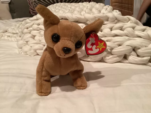 Ty Beanie Baby Tiny The Chihuahua Dog With oddities Excellent Condition!