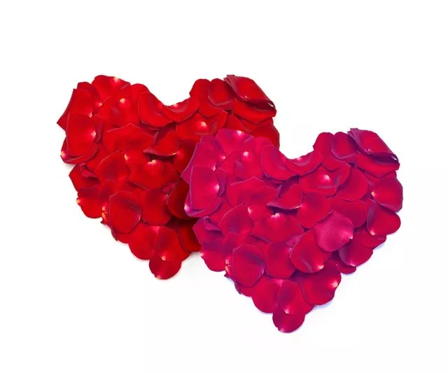 Solid Polystyrene White Foam Hearts 5cm -16.5cm 2in - 6.5in Quality craft hearts 3