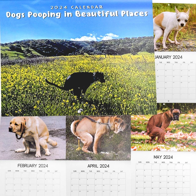 2024 DOGS POOPING Beautiful Places Wall Calendar January to December 11