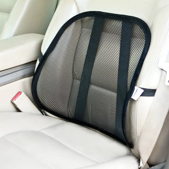 Big Ant Car Lumbar Support Pillow for Office Chair Mesh Back Lumbar Support