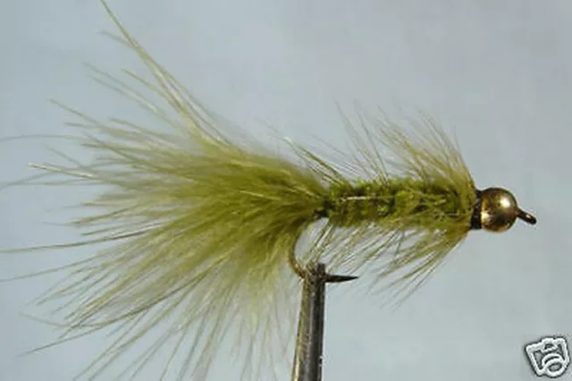 10 x Mouche Streamer Wooly Bugger Olive Bille H6/8/10 LOT fly