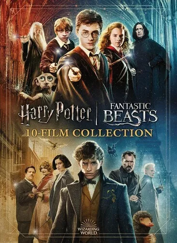 Wizarding World 10-Film Collection (20th Anniversary) (DVD)