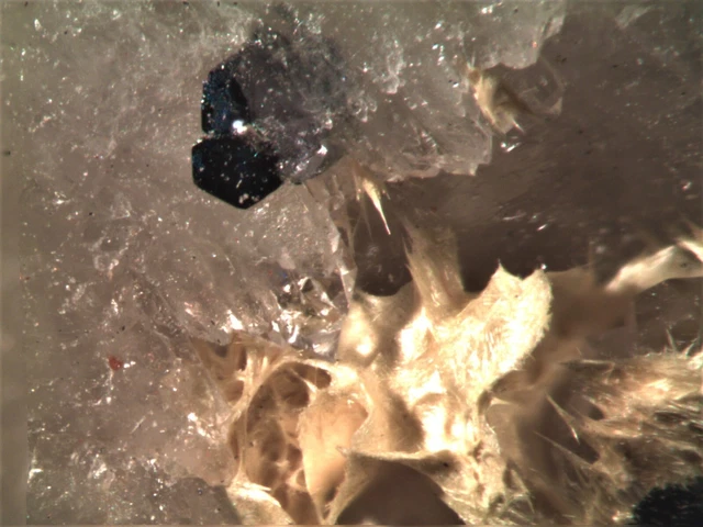 Ferrimolybdite Molybdenite Rare Mineral Micromount From Italy