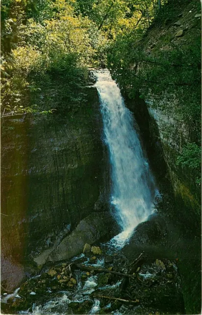 Miners Falls Munising Michigan MI Postcard