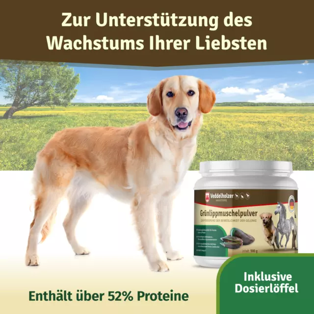 Grünlippmuschel Pulver für Hund Katze & Pferd Fell, Haut Förderung Muschelpulver 2